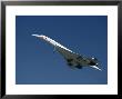 Concorde In Flight by Ian Griffiths Limited Edition Print