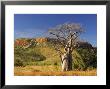 Boab Tree And Cockburn Ranges, Kimberley, Western Australia, Australia, Pacific by Schlenker Jochen Limited Edition Print