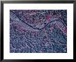 Charleston, West Virginia by Stocktrek Images Limited Edition Pricing Art Print