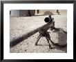 The Schmidt & Bender M-854155 Ds Scout Sniper Day Scope Is Mounted On The M-40A3 Sniper Rifle by Stocktrek Images Limited Edition Pricing Art Print