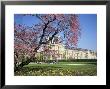 Jardin Des Tuileries And Musee Du Louvre, Paris, France by Neale Clarke Limited Edition Print