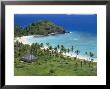 Coconut Plantation And Old Farmhouse Beside Coral Sand Bay, Mana Island, Mamanuca Group, Fiji by Tony Waltham Limited Edition Print