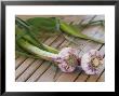 Fresh Garlic On Teak Table, Clos Des Iles, Le Brusc, Var, Cote D'azur, France by Per Karlsson Limited Edition Pricing Art Print
