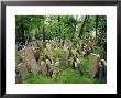 Old Jewish Cemetery, Josefov, Prague, Czech Republic, Europe by Upperhall Ltd Limited Edition Pricing Art Print
