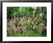 Old Jewish Cemetery, Josefov, Prague, Czech Republic, Europe by Upperhall Ltd Limited Edition Print