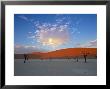 Red Dunes And Dead Acacia Tree, Dead Vlei, Namib-Naukluft-Sossusvlei, Namibia by Gavin Hellier Limited Edition Print