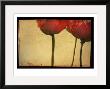 Study Of Red Poppies by Mia Friedrich Limited Edition Print
