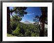 Mt. Teide, Tenerife, Canary Islands, Spain by Alan Copson Limited Edition Print