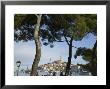 Croatia, Istria, Rovinj, Harbour And Cathedral Of St. Euphemia by Walter Bibikow Limited Edition Print