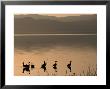 Waterfowl On The Lake Silhouetted At Dawn, Lake Baringo, Rift Valley, Kenya by Anders Blomqvist Limited Edition Print