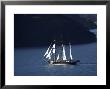 Spirit Of New Zealand Tall Ship, Marlborough Sounds, New Zealand by David Wall Limited Edition Print