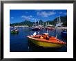 Harbour Boats With Peaks Of Mt. Ikurangi And Te Manga Beyond, Rarotonga, Cook Islands by Grant Dixon Limited Edition Print