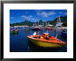 Harbour Boats With Peaks Of Mt. Ikurangi And Te Manga Beyond, Rarotonga, Cook Islands by Grant Dixon Limited Edition Print