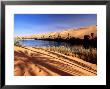 Oasis In The Sahara Desert by Frans Lemmens Limited Edition Print