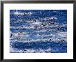 Bondi To Bronte 3Km Ocean Swim by Oliver Strewe Limited Edition Pricing Art Print
