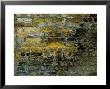 Close View Of Aged Bricks On A Wall In Venice, Italy by Todd Gipstein Limited Edition Print