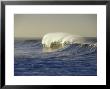 Waves Breaking At Sunrise With Offshore Winds, California by Rich Reid Limited Edition Print