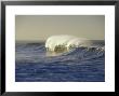 Waves Breaking At Sunrise With Offshore Winds, California by Rich Reid Limited Edition Print