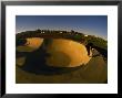 Skateboarding In A Skate Park by Bill Hatcher Limited Edition Print
