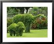 Elephant Topiaries In A Formal Garden by Michael Melford Limited Edition Print