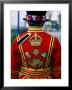 Beefeater, London, England by Steve Vidler Limited Edition Pricing Art Print