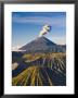 Gunung Bromo Crater, Viewed From Mt. Penanjakan, Bromo Tengger Semeru Np, Java, Indonesia by Michele Falzone Limited Edition Pricing Art Print