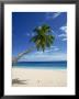 Beach, Mahe, Seychelles, Indian Ocean, Africa by Robert Harding Limited Edition Print