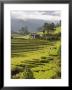 Punakha, Himalayas, Bhutan by Angelo Cavalli Limited Edition Print