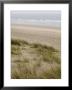 Curracloe Beach, County Wexford, Leinster, Republic Of Ireland (Eire) by Sergio Pitamitz Limited Edition Print