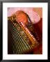Musician Playing Accordion For Turkish Dancers, Turkey by Darrell Gulin Limited Edition Print