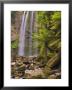 Hopetoun Falls, Great Otway National Park, Victoria, Australia, Pacific by Jochen Schlenker Limited Edition Print