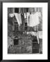 Laundry Hanging Out by Vincenzo Balocchi Limited Edition Print