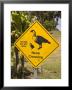 Nene Wild Goose Crossing Sign, Kokee State Park by John Elk Iii Limited Edition Print