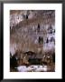 Lodges In Winter Landscape by Ionas Kaltenbach Limited Edition Pricing Art Print