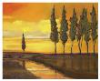 Yellow Sunset Over Water I by Judith D'agostino Limited Edition Print