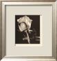 Rose by Thomas Horbett Limited Edition Pricing Art Print