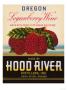 Loganberry Wine by Elizabeth Garrett Limited Edition Pricing Art Print