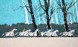 Les Quatre Saisons, L'hiver by Serge Lassus Limited Edition Print