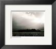 Warkworth, Ontario by Simeon Posen Limited Edition Print