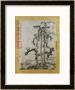 Cao Zhibo Pricing Limited Edition Prints