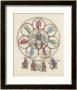 Philosophy Enthroned Surroun- -Ed By The Sciences by Engelhardt Limited Edition Print