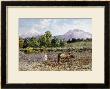 A Farmer Plowing, 1913 by Augusto Lohr Limited Edition Print