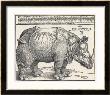 The Indian Rhinoceros Is The Largest Of The Asian Spiecies by Albrecht Dürer Limited Edition Pricing Art Print