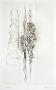 Les Cordes Ii by Hans Bellmer Limited Edition Print