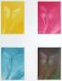 Quatre Libellules by Laurent Schkolnyk Limited Edition Pricing Art Print