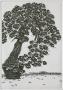 Bonzai Viii by Marc Jurt Limited Edition Print