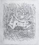Nu Aux Arums - 2Eme Etat by Louis Cane Limited Edition Print