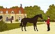 Des Chevaux Et Des Hommes : Les Haras Nationaux by Vincent Haddelsey Limited Edition Print