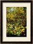 A Leaded Glass Window Of A Woodland Scene by Tiffany Studios Limited Edition Pricing Art Print
