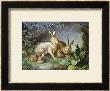 Hares And Leverets In A Rocky Lair by Johann Wenzel Peter Limited Edition Print